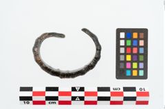 Foto von Bronzearmreif (NHMW-PRAE-026141)